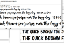 Font Bundle : 259 Koleksi Font untuk Desain